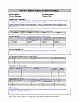 Images of Website Status Report Template