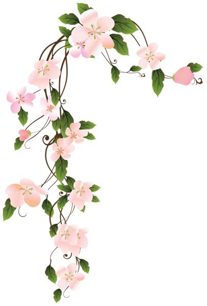 Hanging Floraw Decoration Png Clip Art Image Vine Drawing Flower