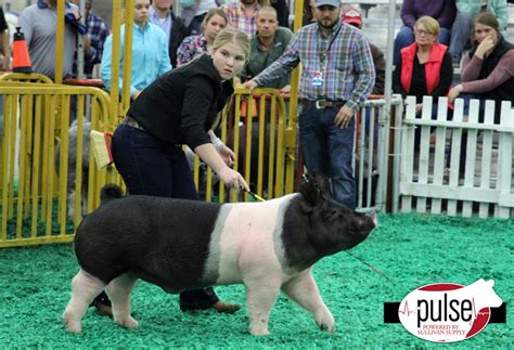 Naile Grand Overall Market Hog The Pulse