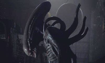 Eleven years after the events of prometheus, the colony ship uscss covenant, carrying thousands of colonists and after the acquisition of 21st century fox by the walt disney company, it was officially confirmed at the 2019 cinemacon that future alien films are in. Odd Studio share never before seen Alien: Covenant photos ...