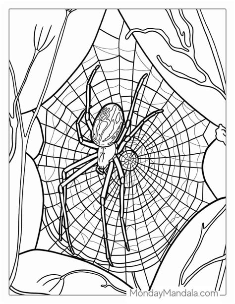 Halloween Spider Coloring Pages Printable 3567 The Best Porn Website