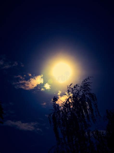 Full Moon Against The Night Sky Stock Photo Image Of Sunset Horizon