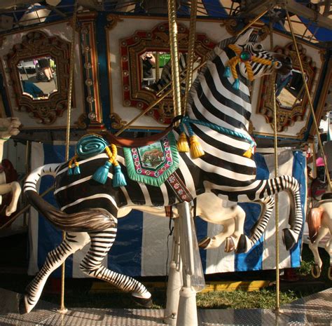 Zebra Carousel There Were So Many To Shoot However I Only Flickr