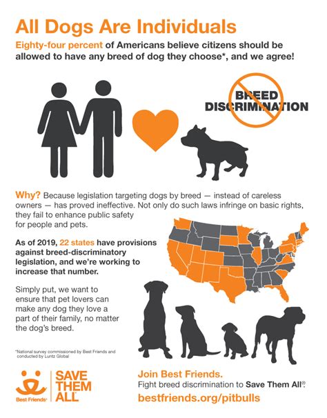 Dog Breed Bans Infographic Best Friends Animal Society