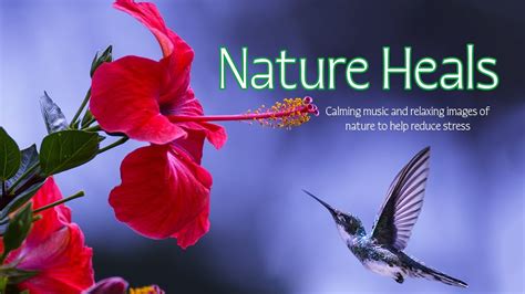 Nature Heals Meditation Amazing Nature Scenery And Relaxing Music For