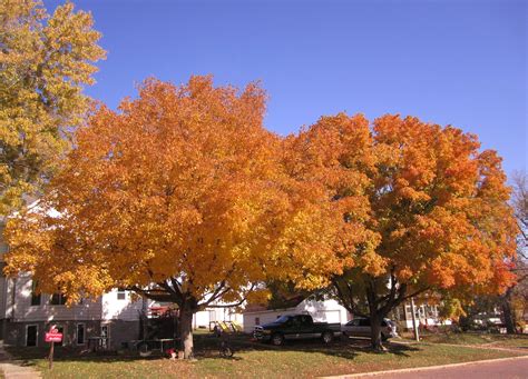 The Best Times To View Fall Foliage In Nebraska In 2017