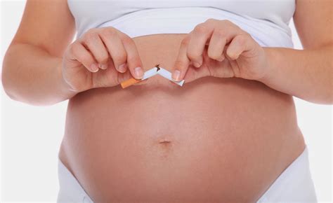 Arag N Sin Humo Fumar Durante El Embarazo Efectos Negativos En El Feto