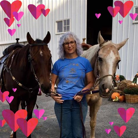 Riding A Dream, Horse Training & Riding Lessons | Leipsic OH