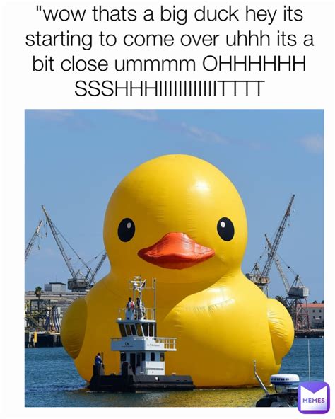 Wow Thats A Big Duck Hey Its Starting To Come Over Uhhh Its A Bit Close Ummmm OHHHHHH