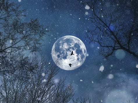 Full Moon Night Of Snow Abstract Stock Photos ~ Creative Market