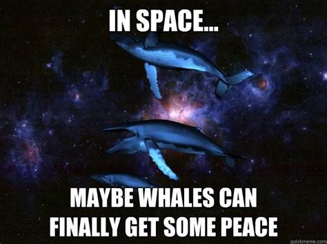 Quickmeme The Funniest Page On The Internet Whale Funny Memes
