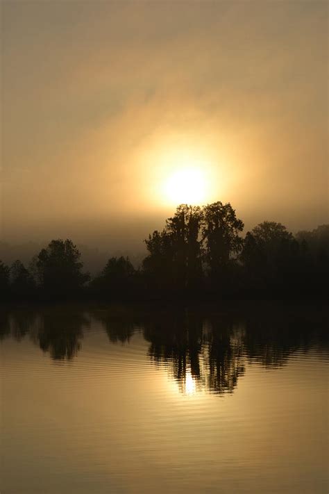 Foggy Sunrise Over Alligator Lake 1 Photograph By Roy Erickson Fine