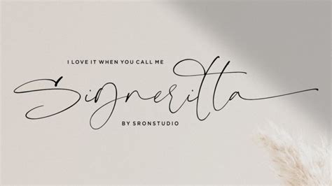 The 10 Best Free Signature Fonts Of 2019 · Pinspiry