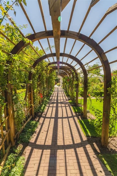 Passageway Under A Wooden Arbor Surrounded By Lush Green Plants On A