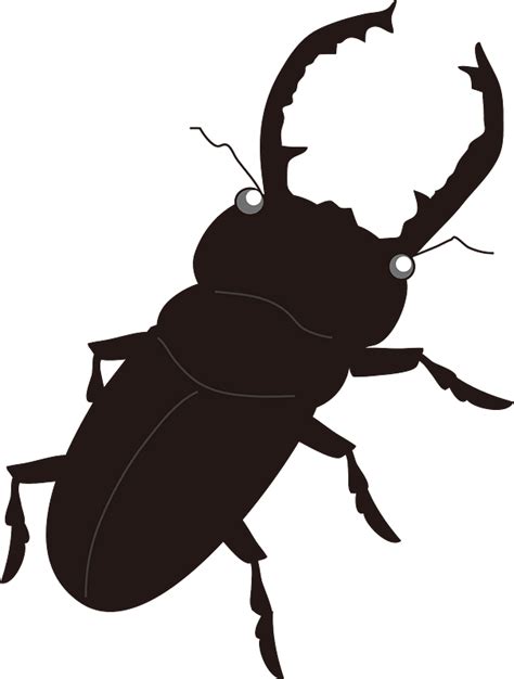 Stag Beetle Insect Clipart Free Download Transparent Png Creazilla