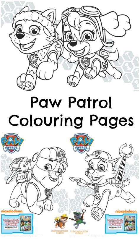 We did not find results for: Paw Patrol Pups and the Pirate Treasure Colouring Page ...