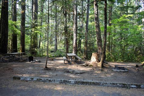 Site 116 Newhalem Campground