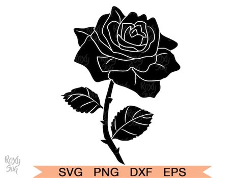 Rose Flower Svg Rose Clipart Rose Png Rose Clip Art Etsy