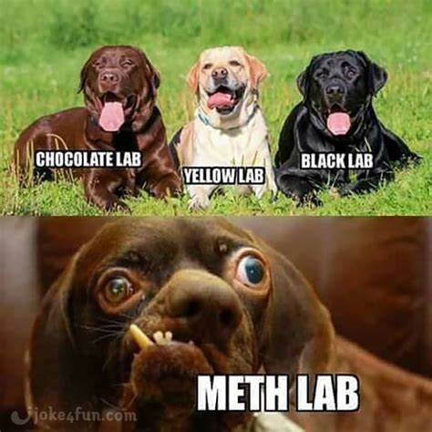 Memes About Lab Equipment Score From The Facebook Lab Humor Page