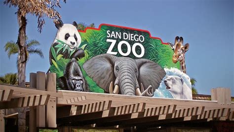 You can also opt to buy it at certain physical retailers once you get to san diego, but those locations can occasionally be tricky to find and they sometimes sell only. San Diego Zoo Discount Tickets Find the Best Deal | San diego vacation, San diego zoo, San diego