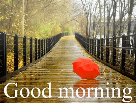 Full K Collection Of Over Amazing Rainy Good Morning Images