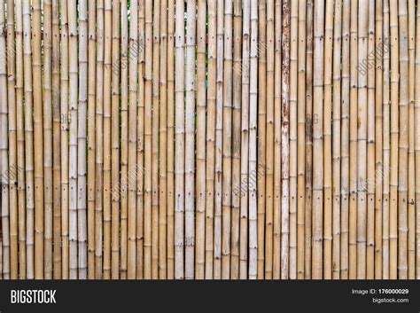 Bamboo Wall Bamboo Image And Photo Free Trial Bigstock