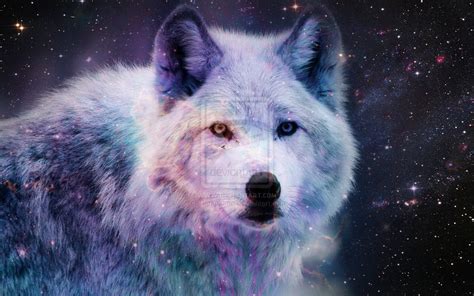 Galaxy wolf wallpaper (69+ images). Galaxy Wolf Reloaded By Darkplume D5ojnqz | CH20 WEBMASTER