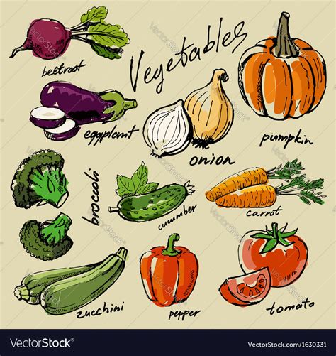 Hand Drawn Vegetables Royalty Free Vector Image