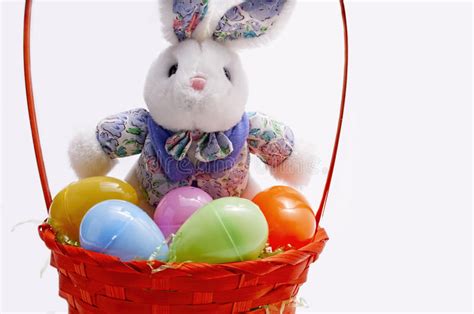 Easter Basket And The Easter Bunny Stock Photo Image Of Field Basket