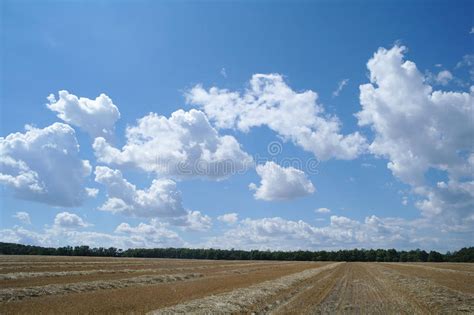 Cloudy Sky And Golden Field Stock Image Image Of Bales Ideas 84640461