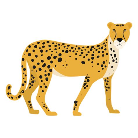 Cheetah Illustration Transparent PNG & SVG Vector