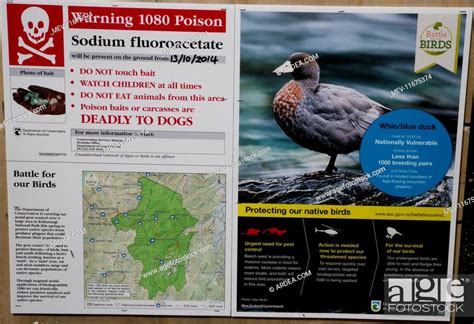1080 Warning Sign These Poison Baits Laid To Kill Predators Of The Blue