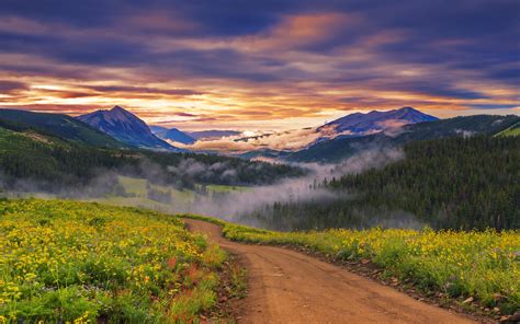 Landscape Nature Mountain Meadow With Flowers Herbs Country Road Forest With Pine Trees Vapor