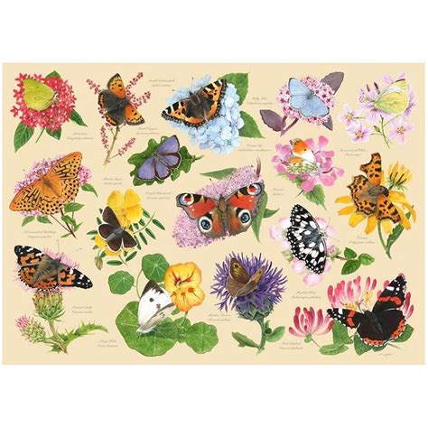 House Of Puzzles Garden Butterflies 1000pc Jigsaw Puzzle