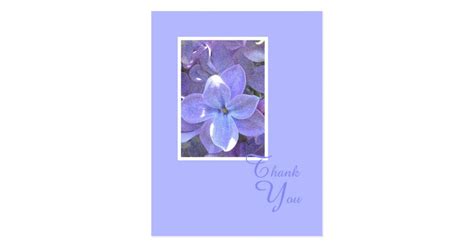 Lilacs Sympathy Or Death Thank You Postcard