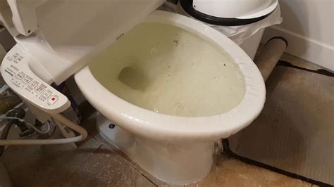 Flooding Continues Through Toilet And Bathtub Youtube