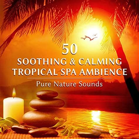 50 Soothing And Calming Spa Ambience Pure Nature Sounds Wellness Center Healing Massage Inner