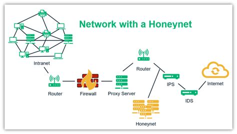 What Is A Honeypot In Network Security Definition Types And Uses Infosec Insights 2022