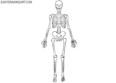 How To Draw A Skeleton Easy Drawing Art