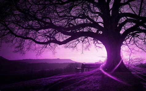 Free Download Purple Landscape Computer Background 1600x1011 For Your