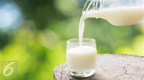 Manfaat Minum Susu Murni Sebelum Tidur - Seputar Minuman