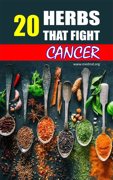 20 Herbs That Fight Cancer Effective Alternative Cancer Treatments