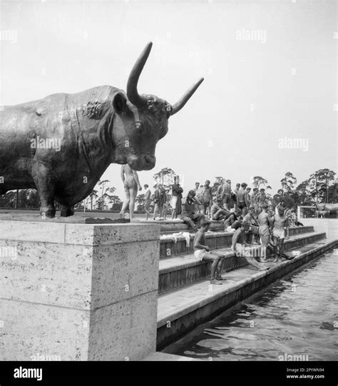 Athletes During The Summer Olympics At The Forum Basin Of The German