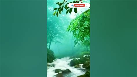 Waterfalls Nature Whatsapp Status Shorts Video Youtube