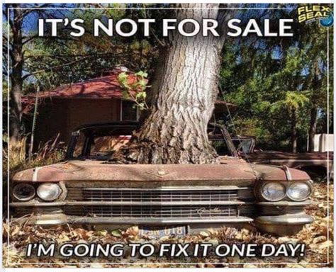 Pin By Roy David On Humor Funny Car Quotes Humor Punny