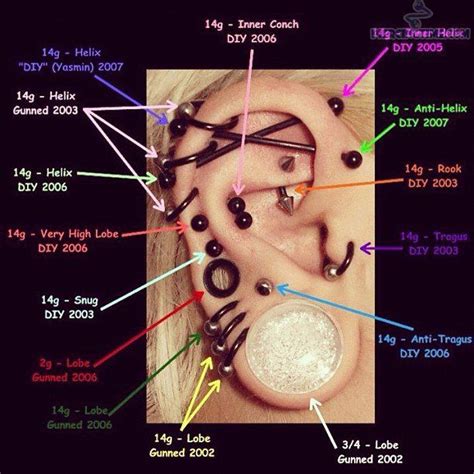 Ear Piercing Chart Ear Piercing Diagram Piercing Chart Ear Piercings Chart