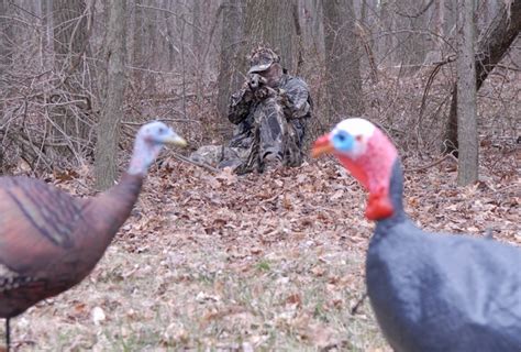 Talkin Turkey Gobbler Hunting Starts Saturday Outdoors