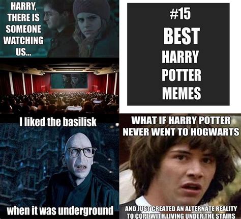 18 Best Funny Harry Potter Memes Images On Pinterest