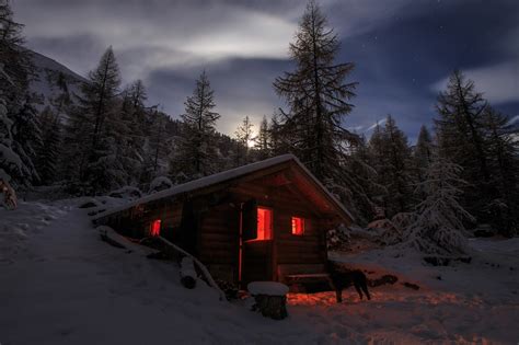 Photography Landscape Nature Winter Cabin Snow Moonlight Dog Forest