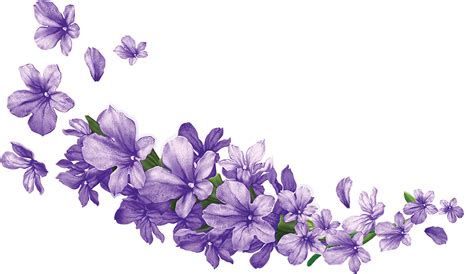 Orchid Clipart Lavender Orchid Lavender Transparent Free For Download